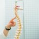 Vancouver, WA Car Accident Chiropractor Can Treat Car Accident Pain
