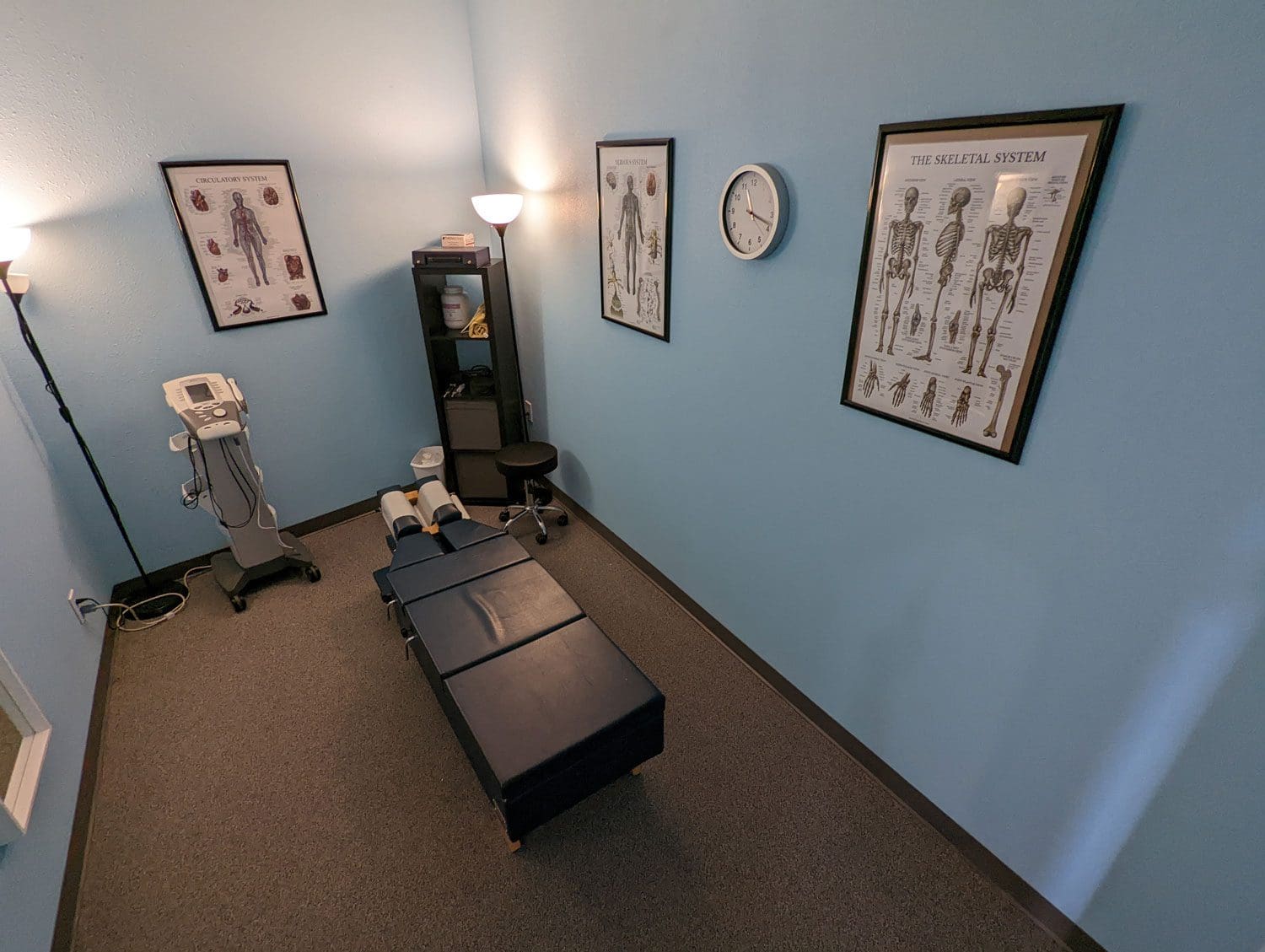 McMinnville chiropractic treatment room with adjustment table and illustrations of the human musculoskeletal system.