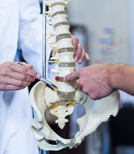 A Chiropractor is showing a patient spinal disc tears using a model of the spine.