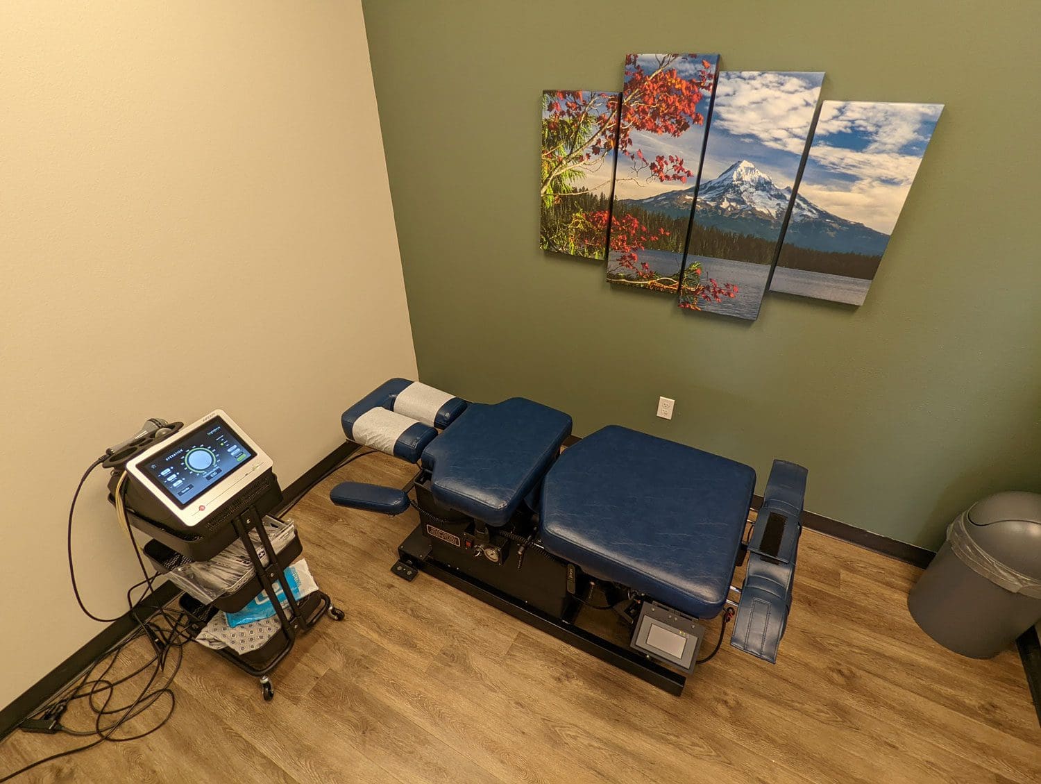 A chiropractic treatment room in South Salem with an adjustment table, lovely mountain wall art, wood floors, and serene green walls.