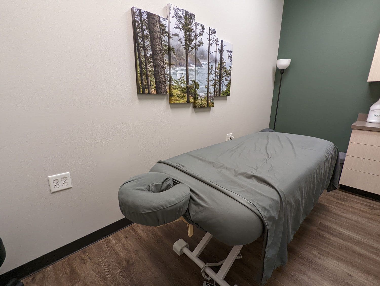 South Salem massage therapy room with massage table and wall art of the ocean seen through a forest.