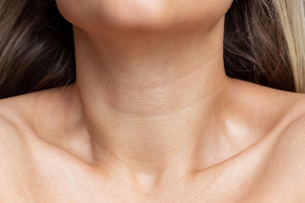 Woman's neck and collarbone.