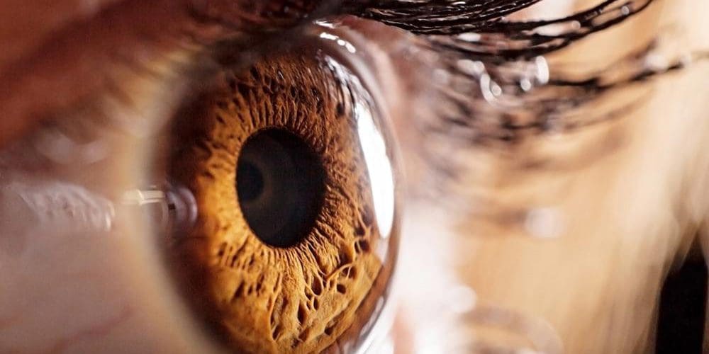 Close up of human eye.