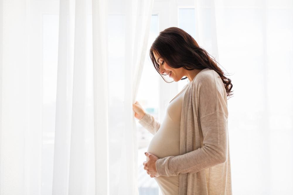 Young pregnant woman standing by window.